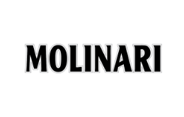 https://greatspirit.devjaba.com/portfolio/molinari/